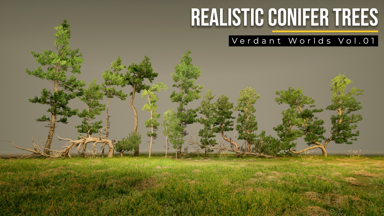 Media 1 for listing Realistic Conifer Trees – Verdant Worlds Vol.01