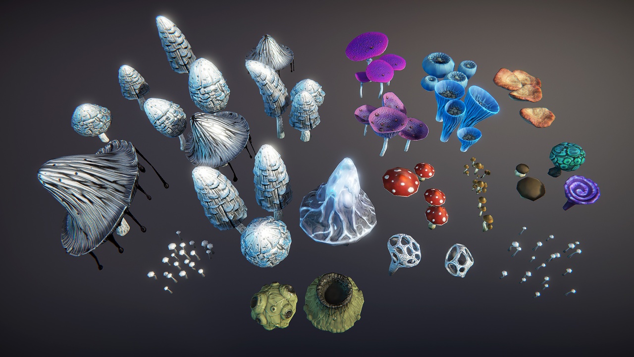Média 1 pour l'article Mushroom Pack