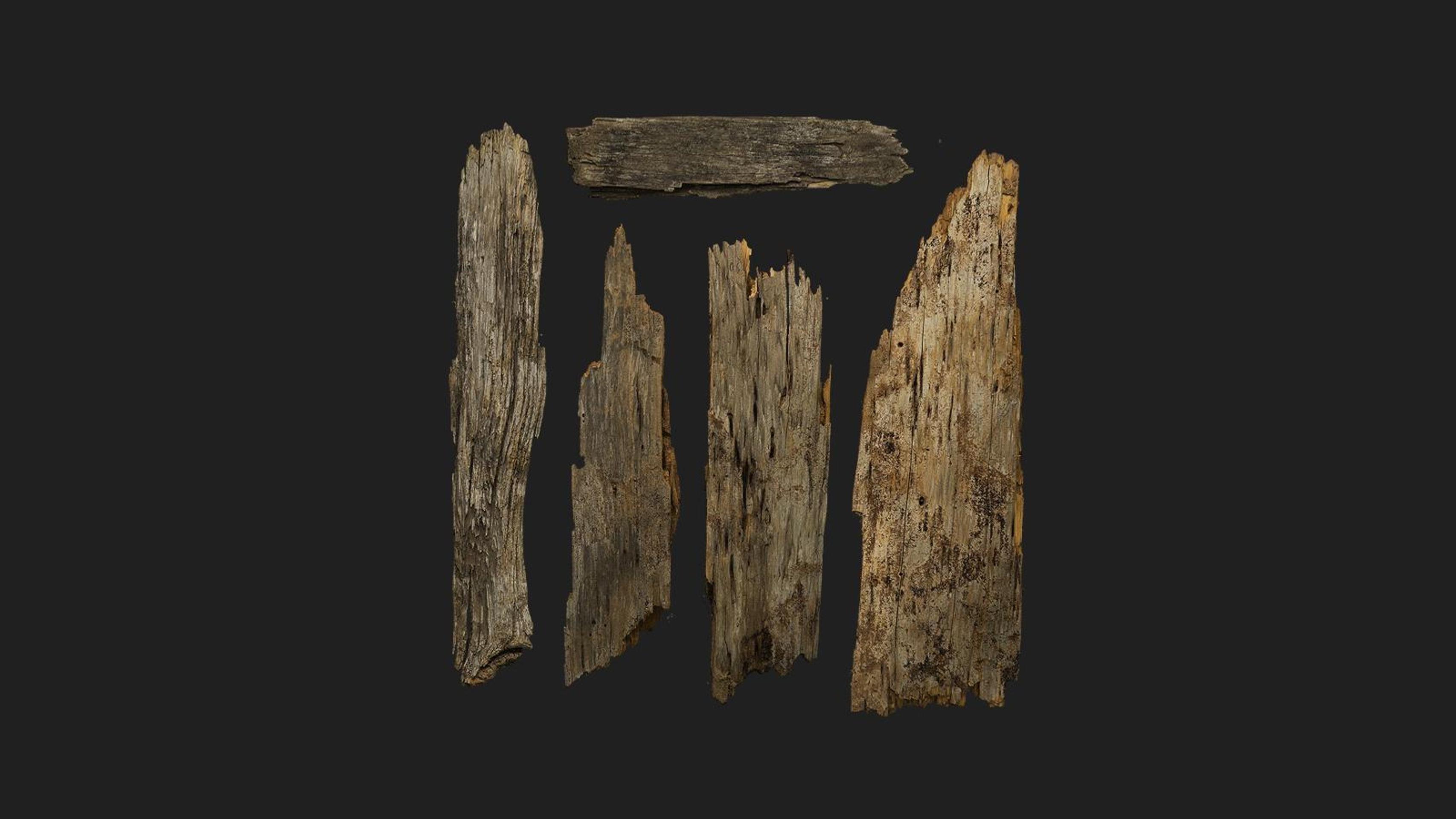 Tree Trunk Pieces | Fab