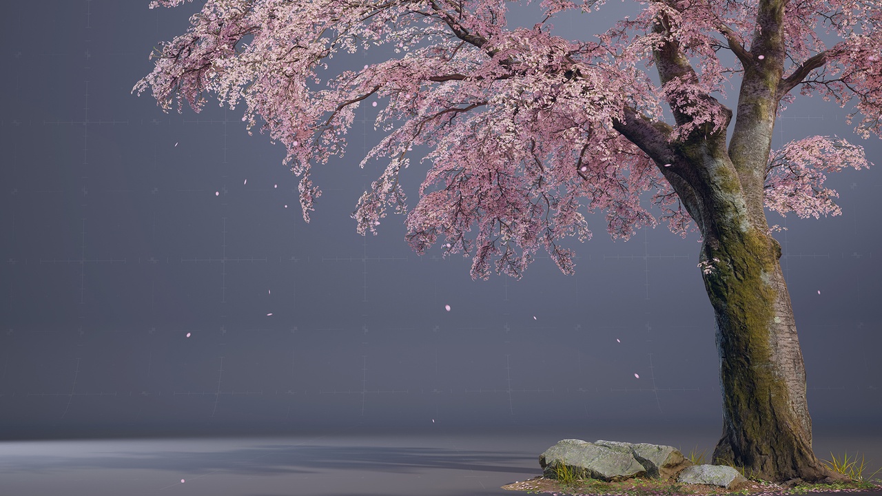 Media 1 for listing Cherry Blossom