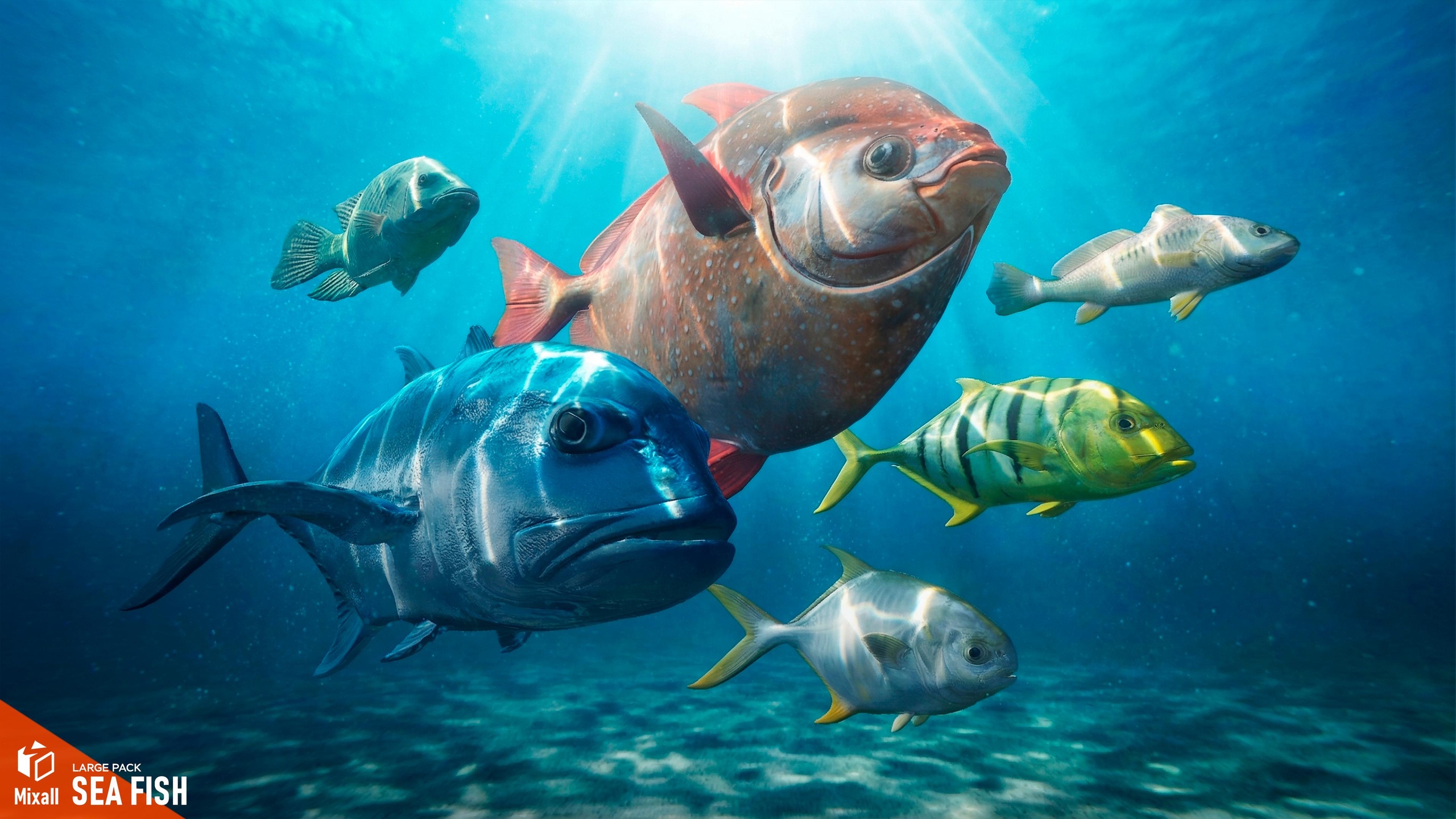 Media 1 for listing Sea fish - large pack