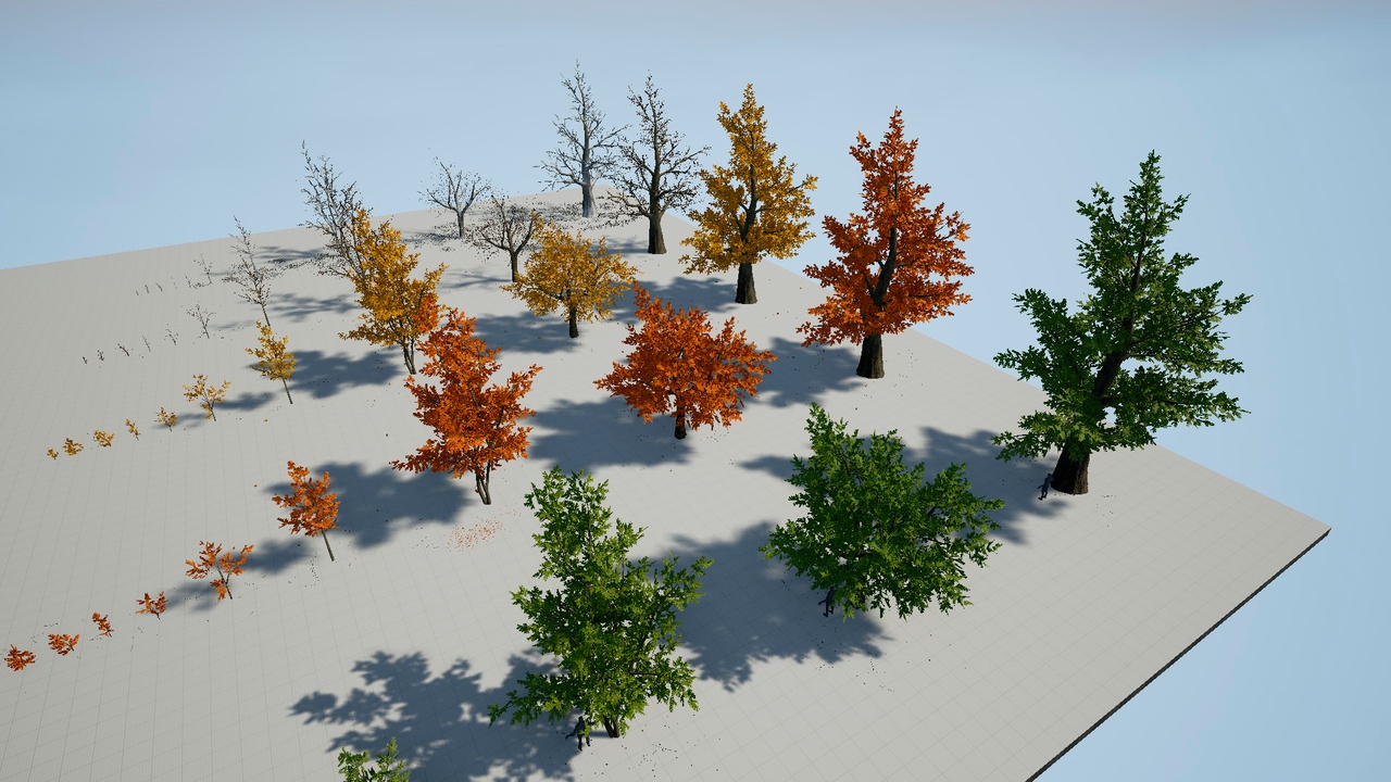 Media 1 for listing Season's Trees Vol.1