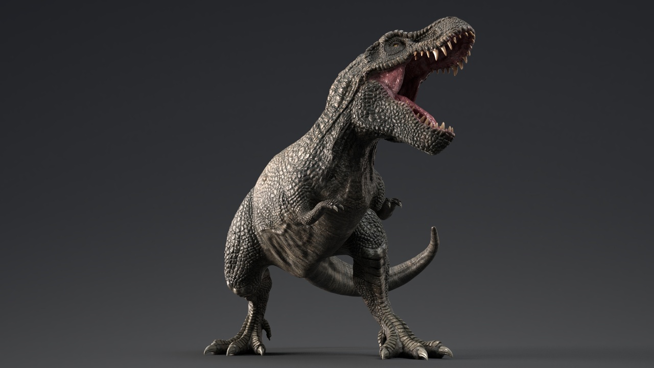 Media 1 for listing Dinosaur Z_Tyrannus_Magnus