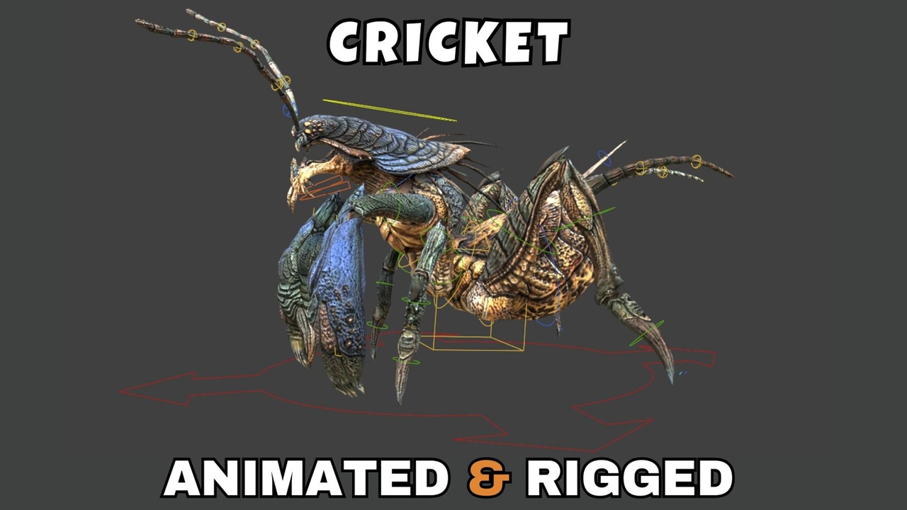 Media 1 for listing Cricket Rigged And Animated 3D Model
