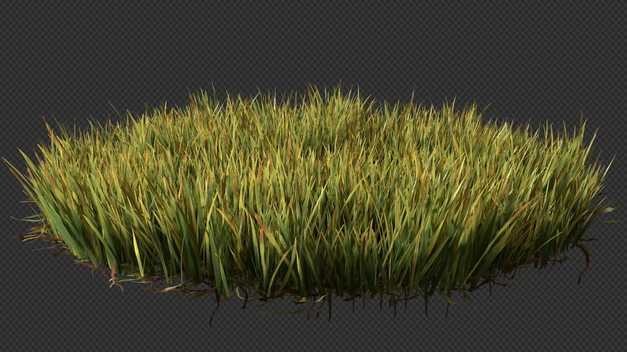 Media 1 for listing Blender Grass Builder