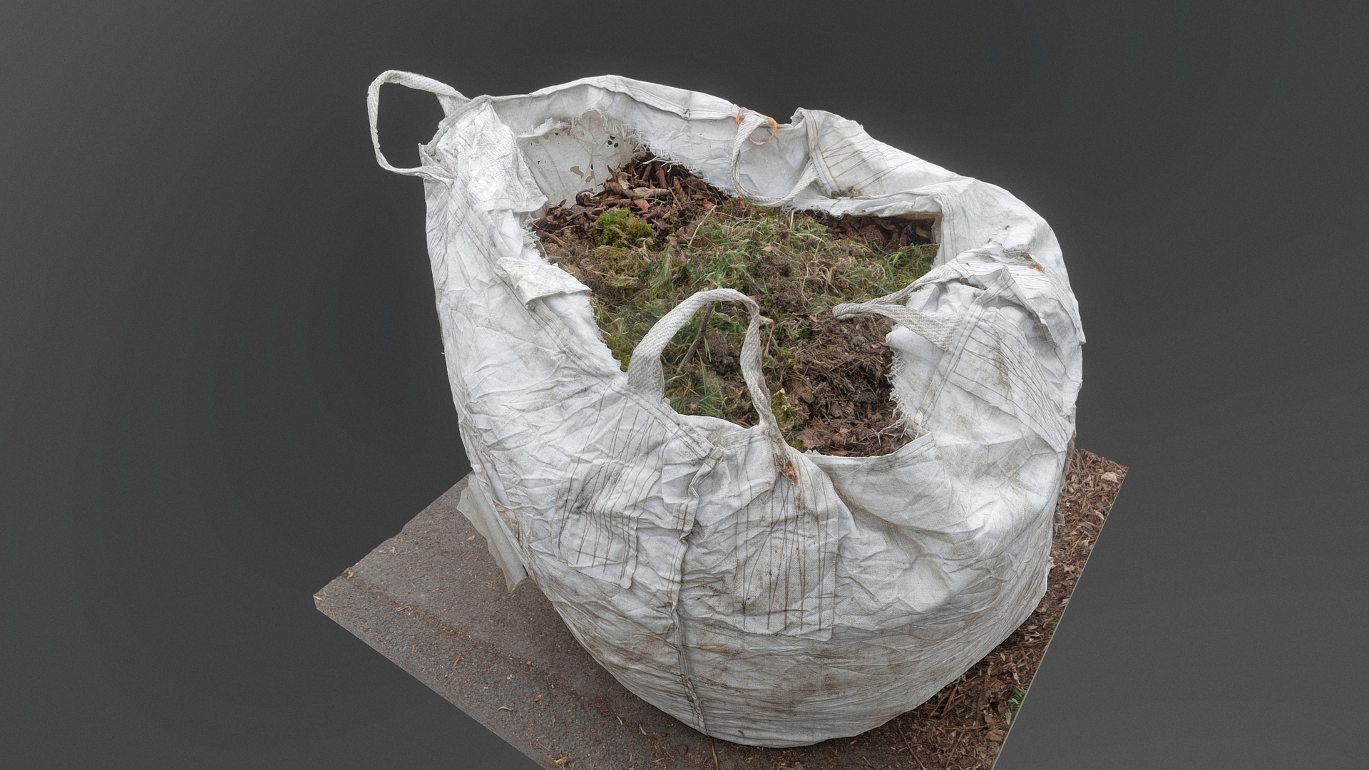 Media 1 for listing Gardening garbage leaf collection bag