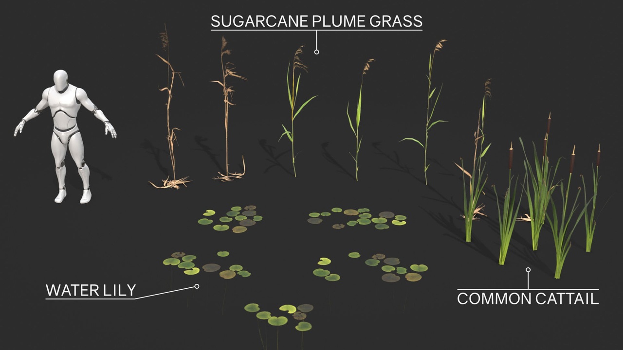 Media 1 for listing Modular Wetland Plants Set 01