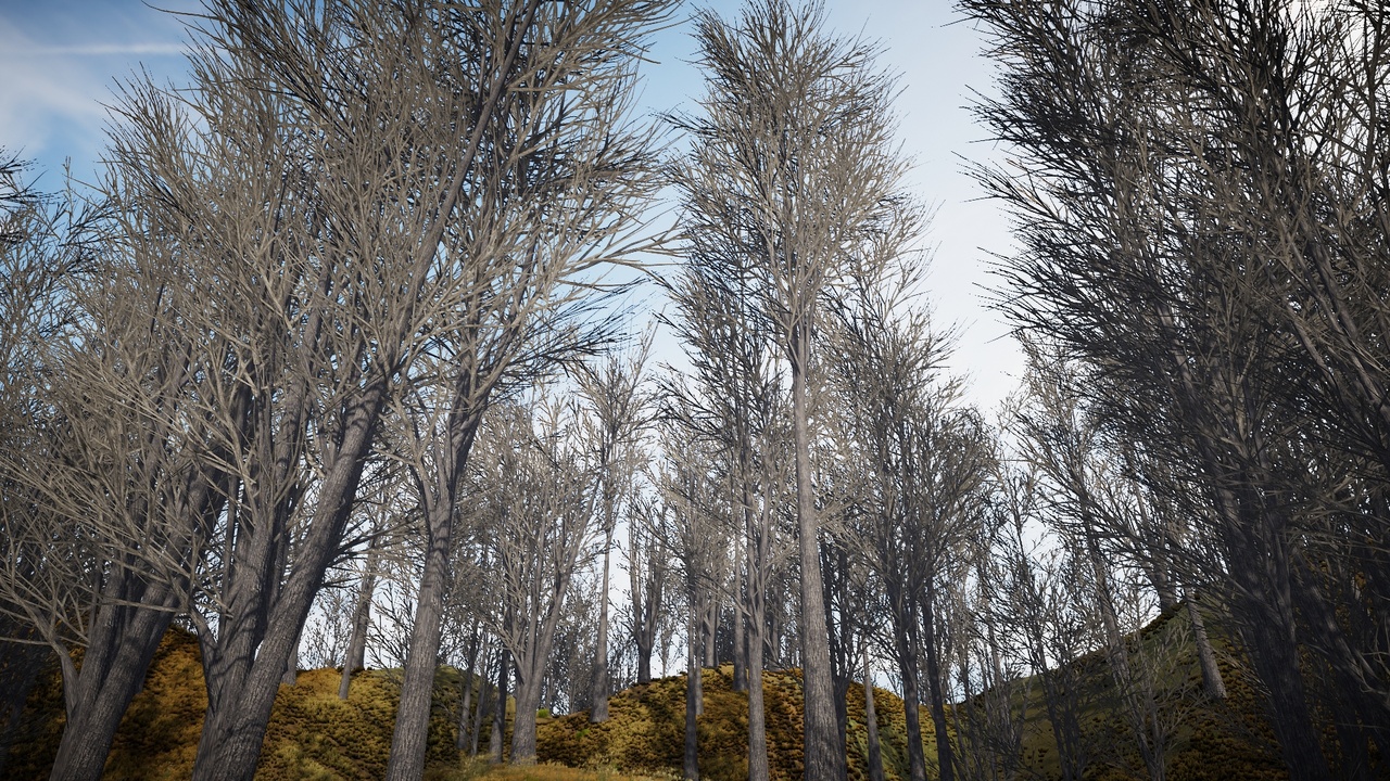 Media 1 for listing Mobile Trees Pack 37