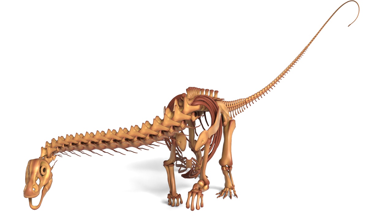 Media 1 for listing Argentinosaurus Skeleton – Fully Rigged Giant Sauropod (Dynamic Pose 2)