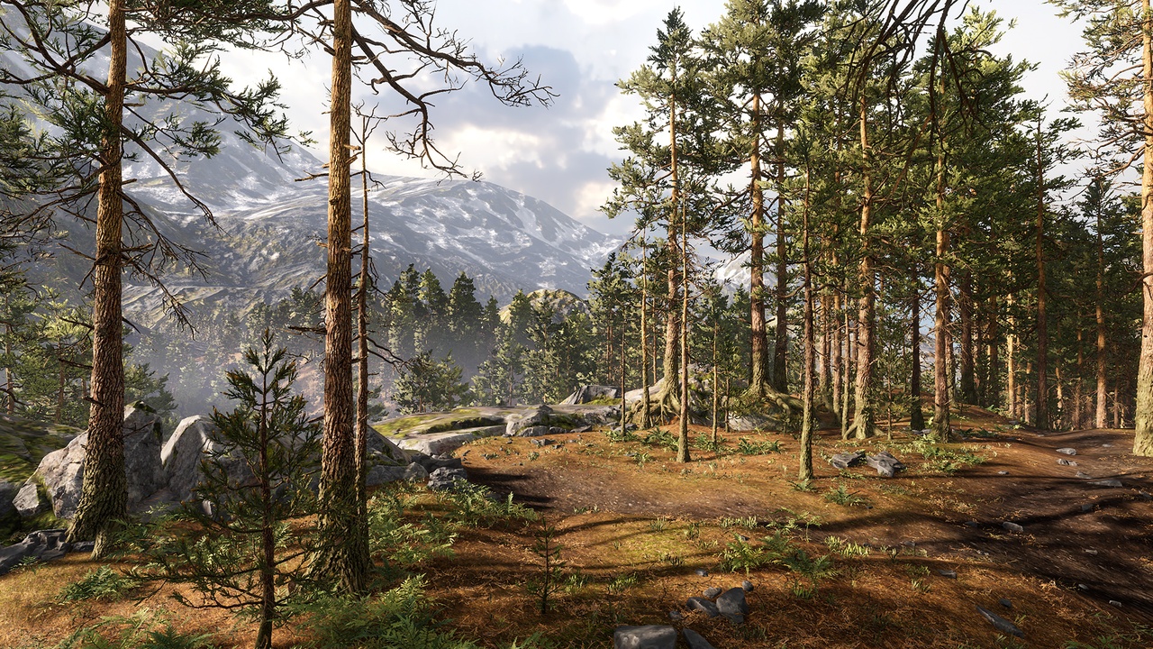 Media 1 for listing Rocky Pine Forest — Unity