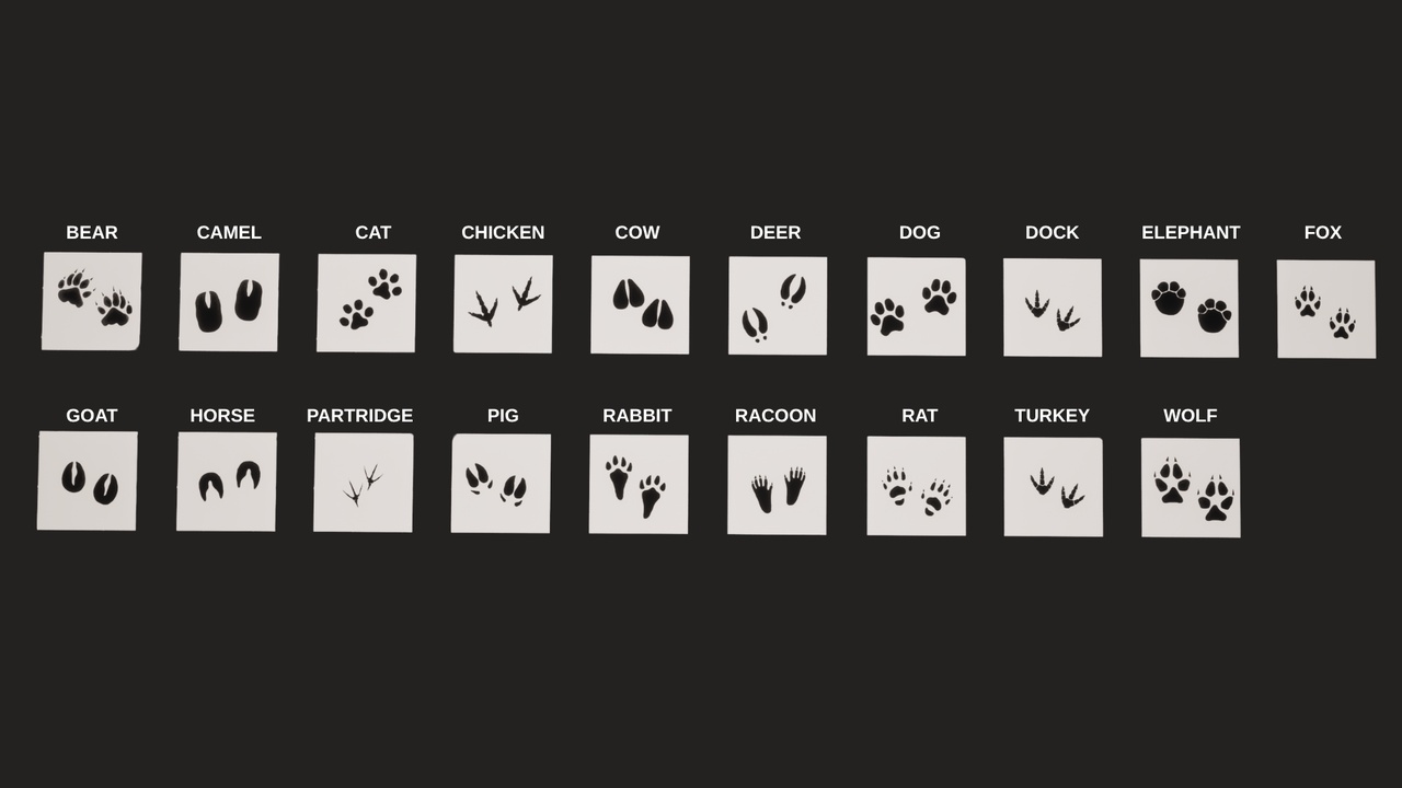 Media 1 for listing Animal Foot Print Decal Pack