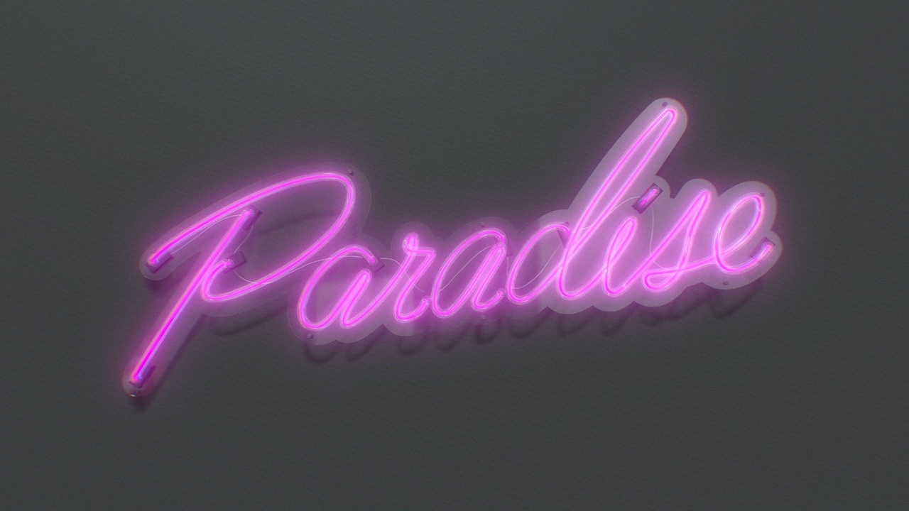 Media 1 for listing Paradise - Neon Sign