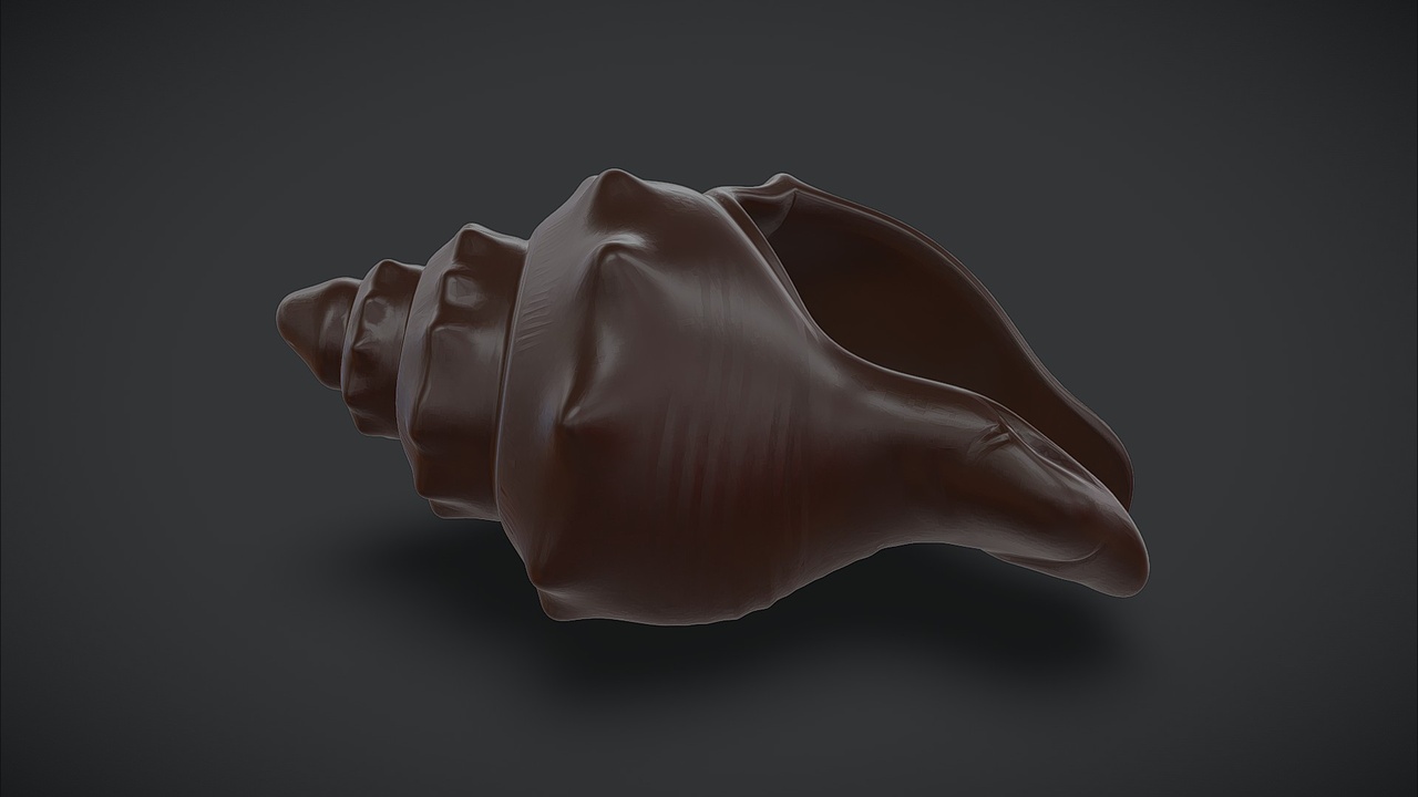 Media 1 for listing Sea Shell Conch Chocolate
