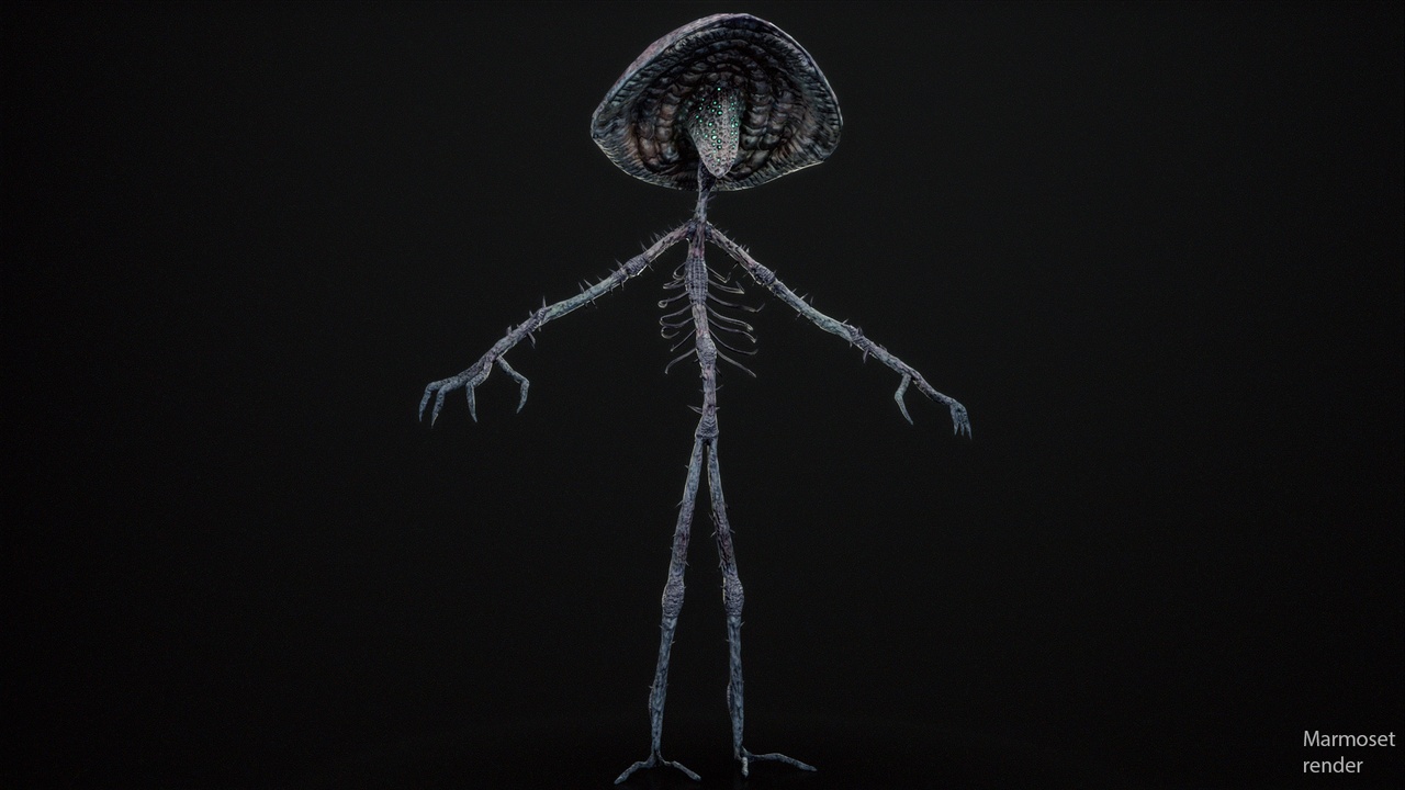 Media 1 for listing Mushroom Guy 02