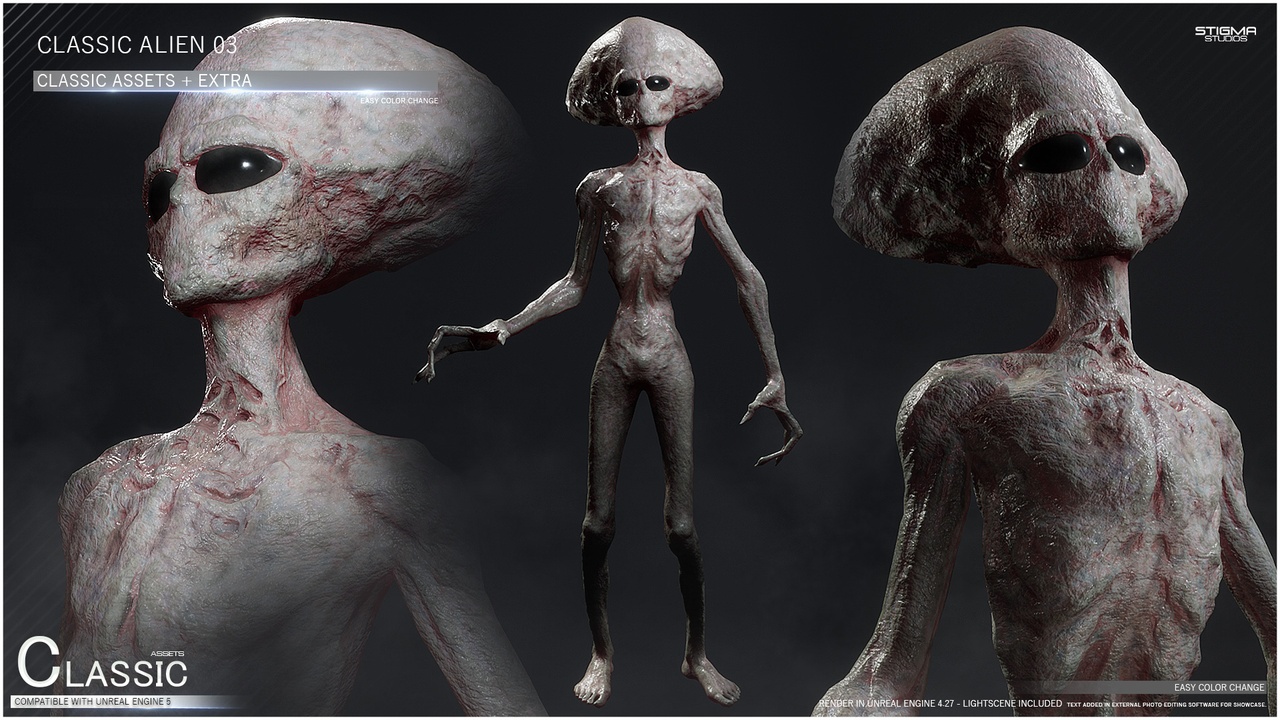 Media 1 for listing Grey Alien 03 - Classic Assets + Extra