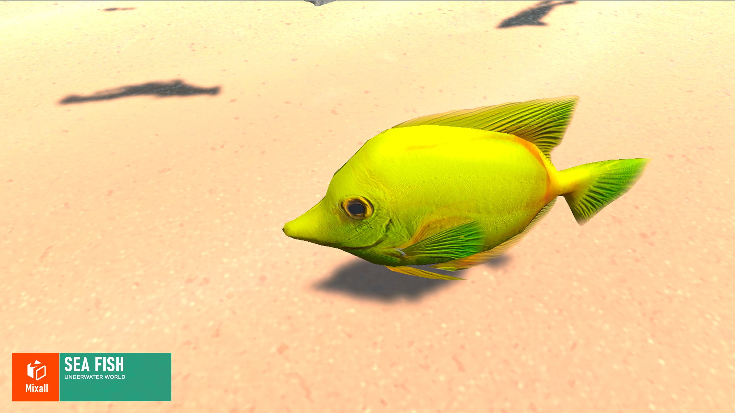 Media 1 for listing Sea fish - underwater world