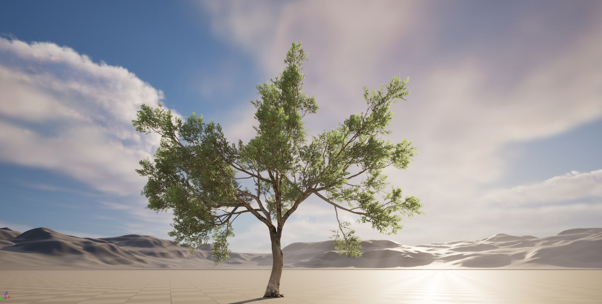 Media 1 for listing Nanite Wind Plants - Scanned Olea europaea - Common olive Pack 09