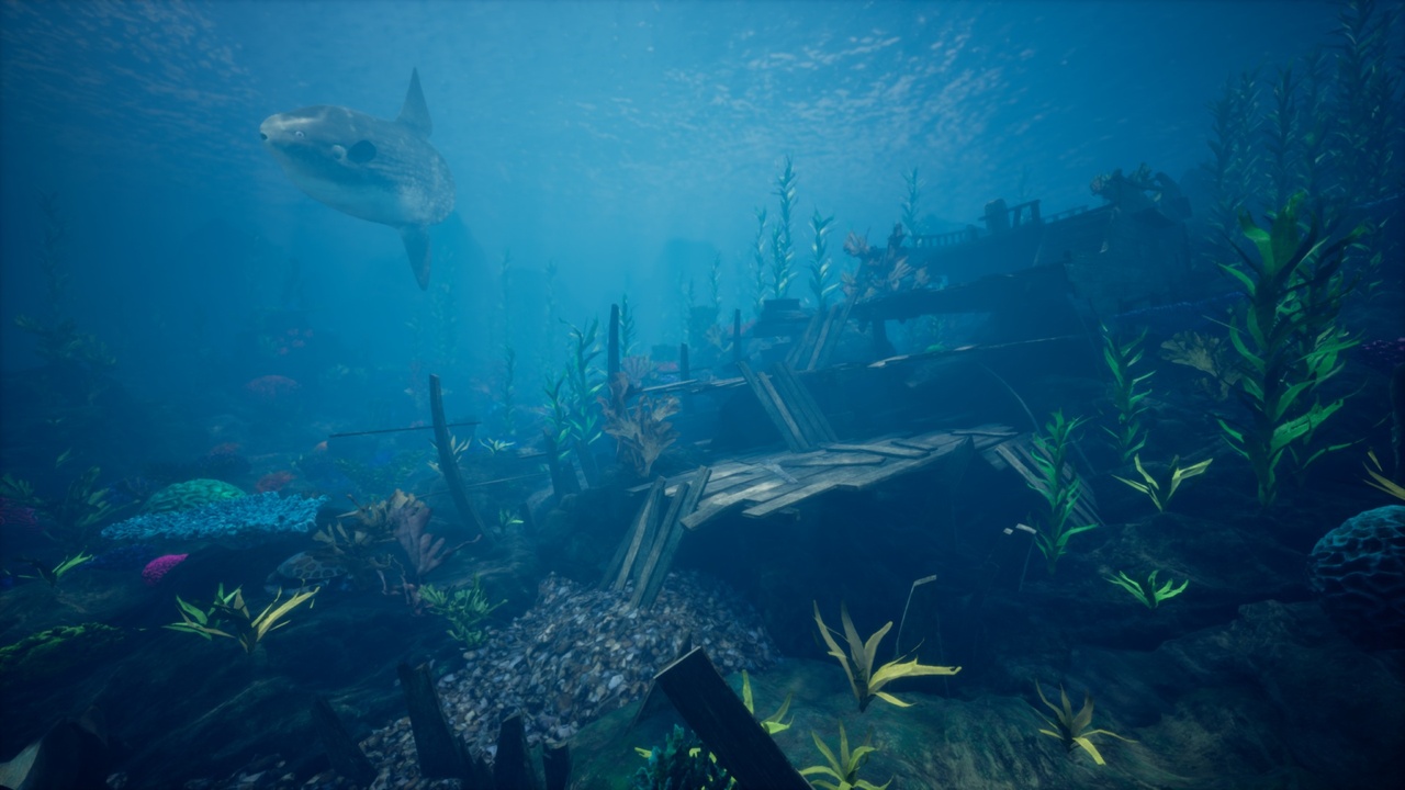 Media 1 for listing Ocean Environment Pack 2 - Coral Reef
