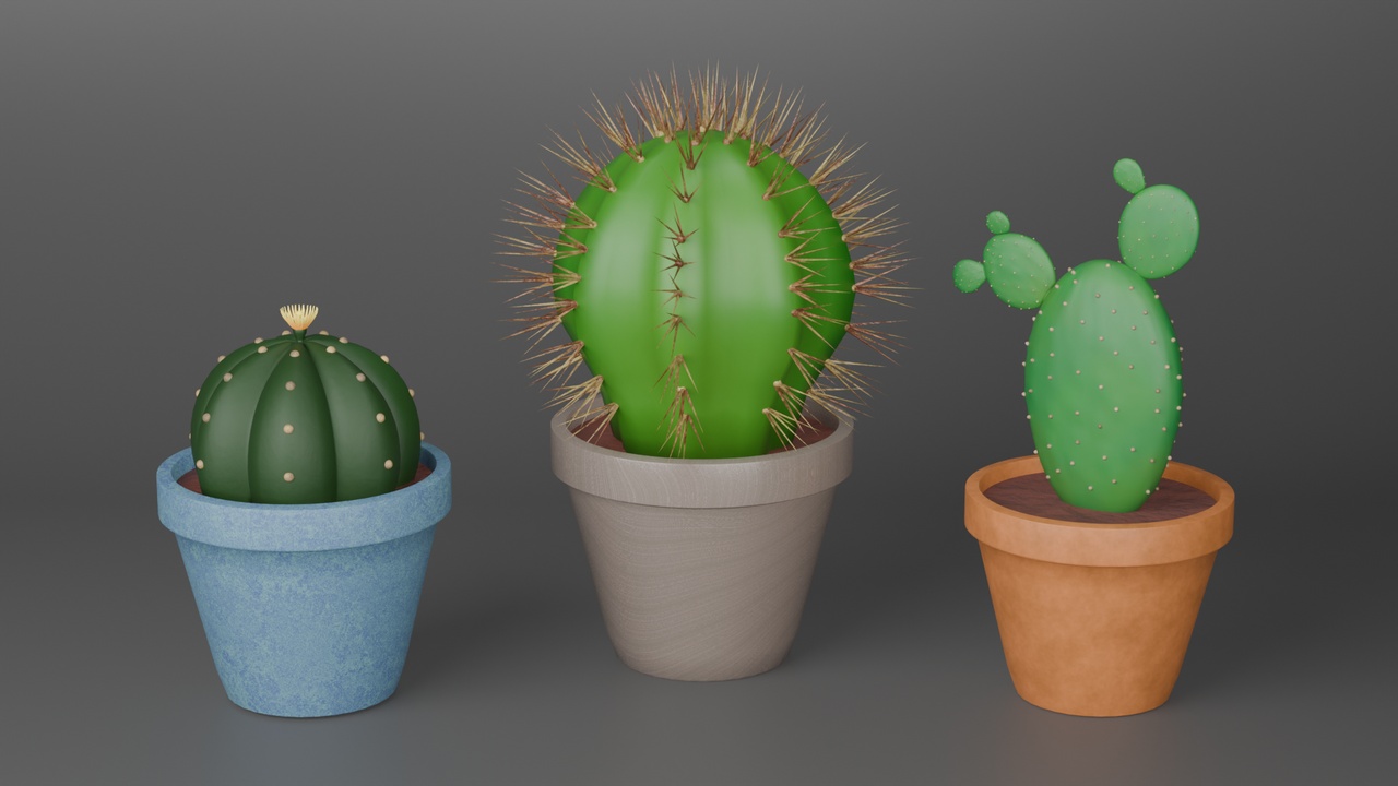 Media 1 for listing Cactus Set
