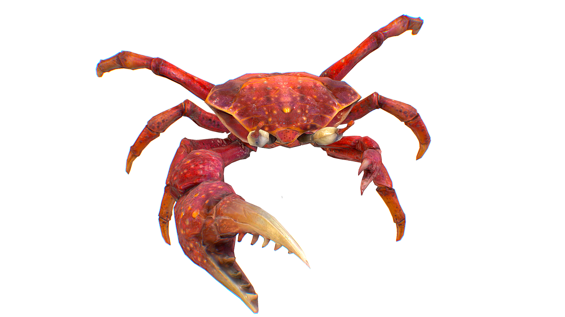 Crab - Red Crayfish - Arthropod Sea Animal Creature Monster | Fab