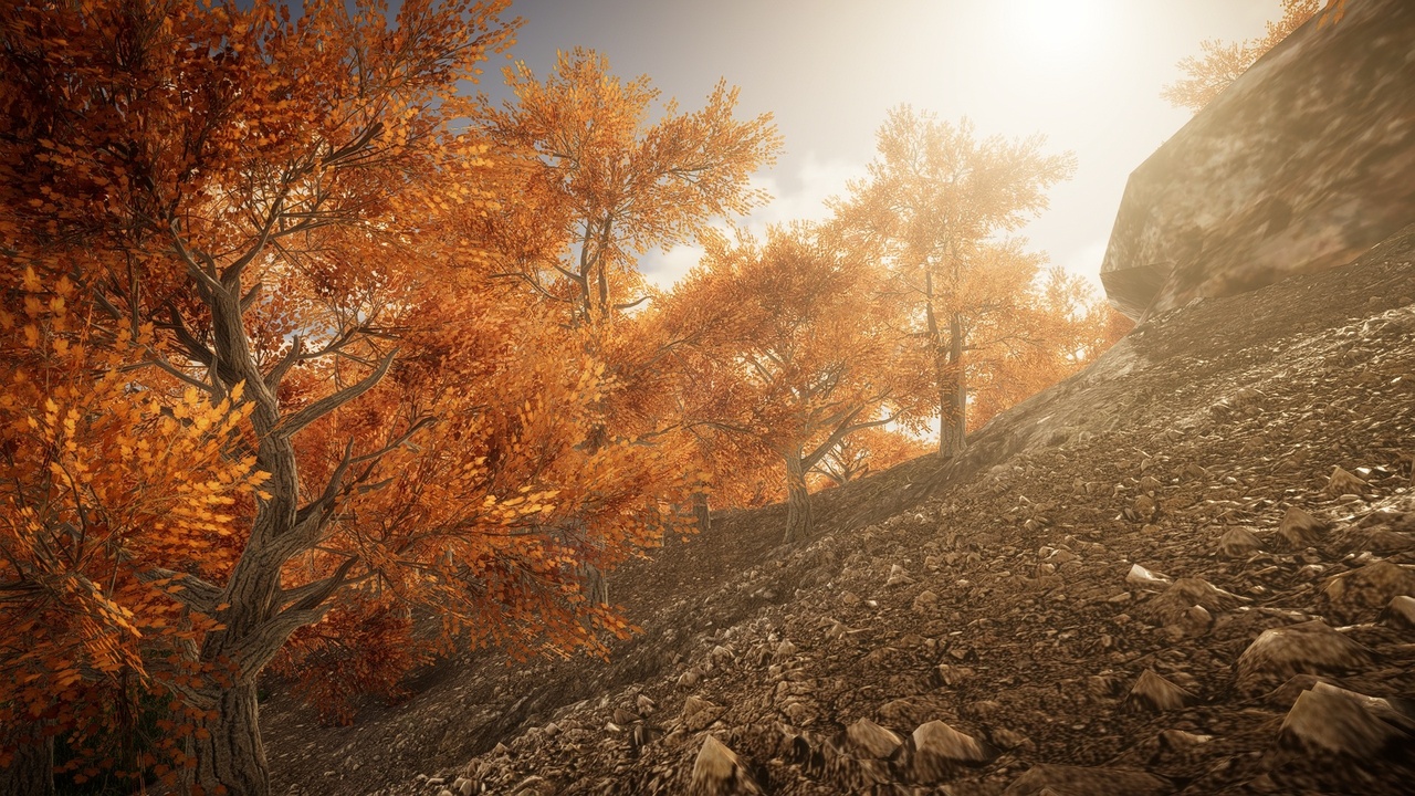 Media 1 for listing HighPoly Tree Pack #2