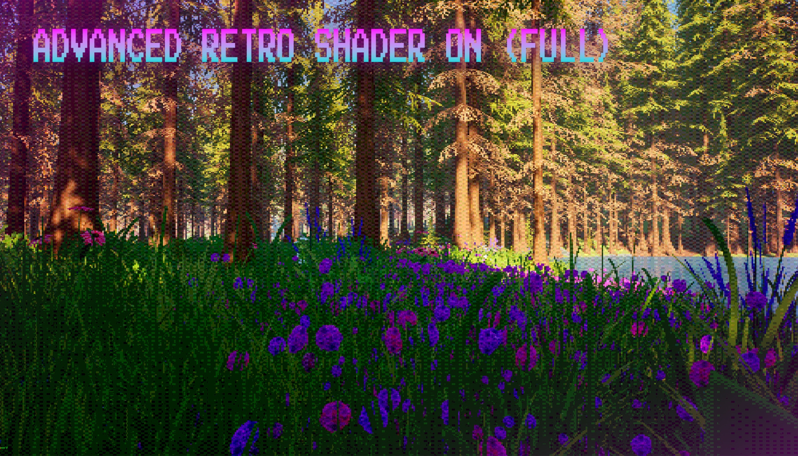 Media 1 for listing ADVANCED RETRO SHADER