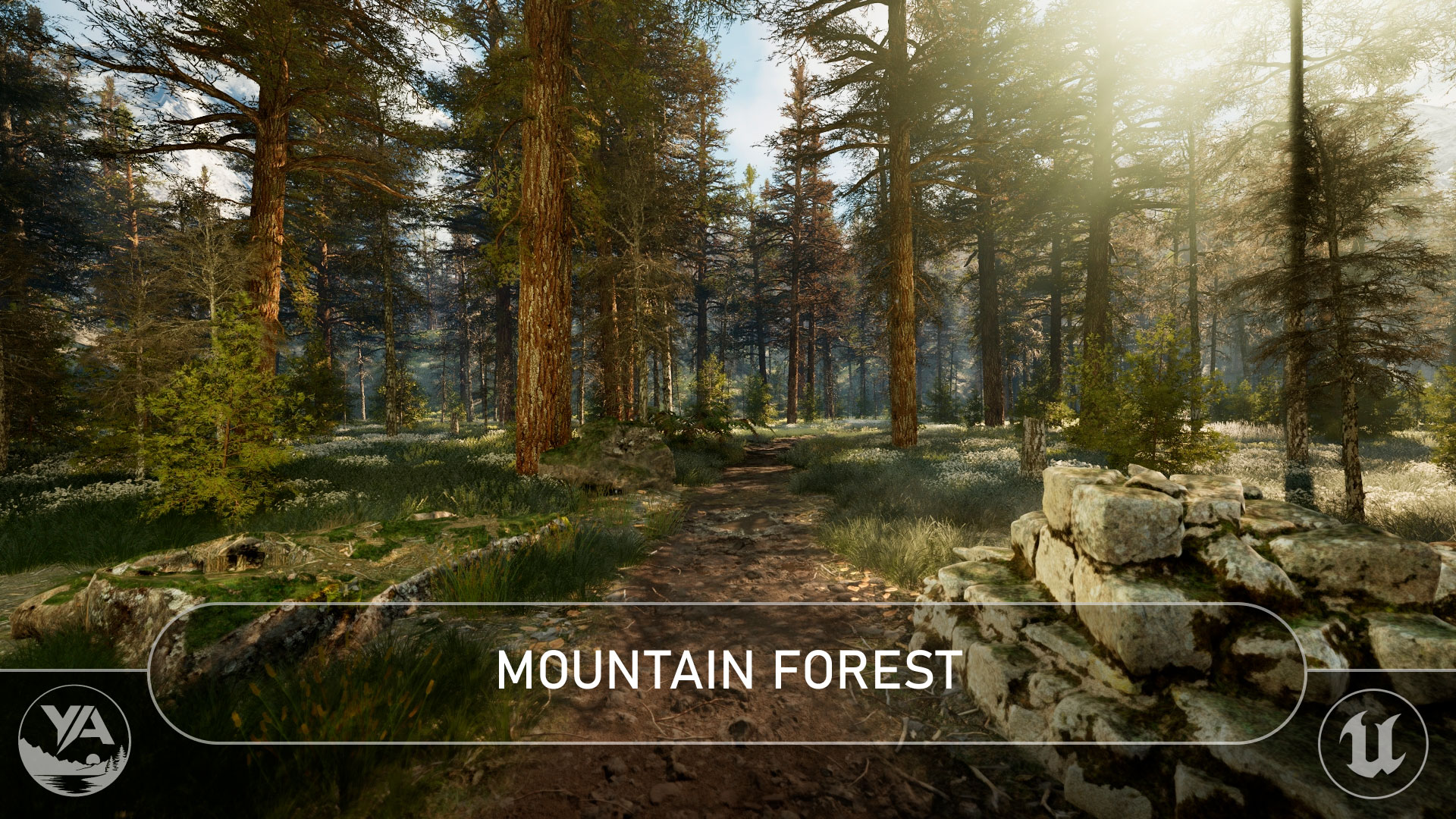 Mountain Forest | Fab