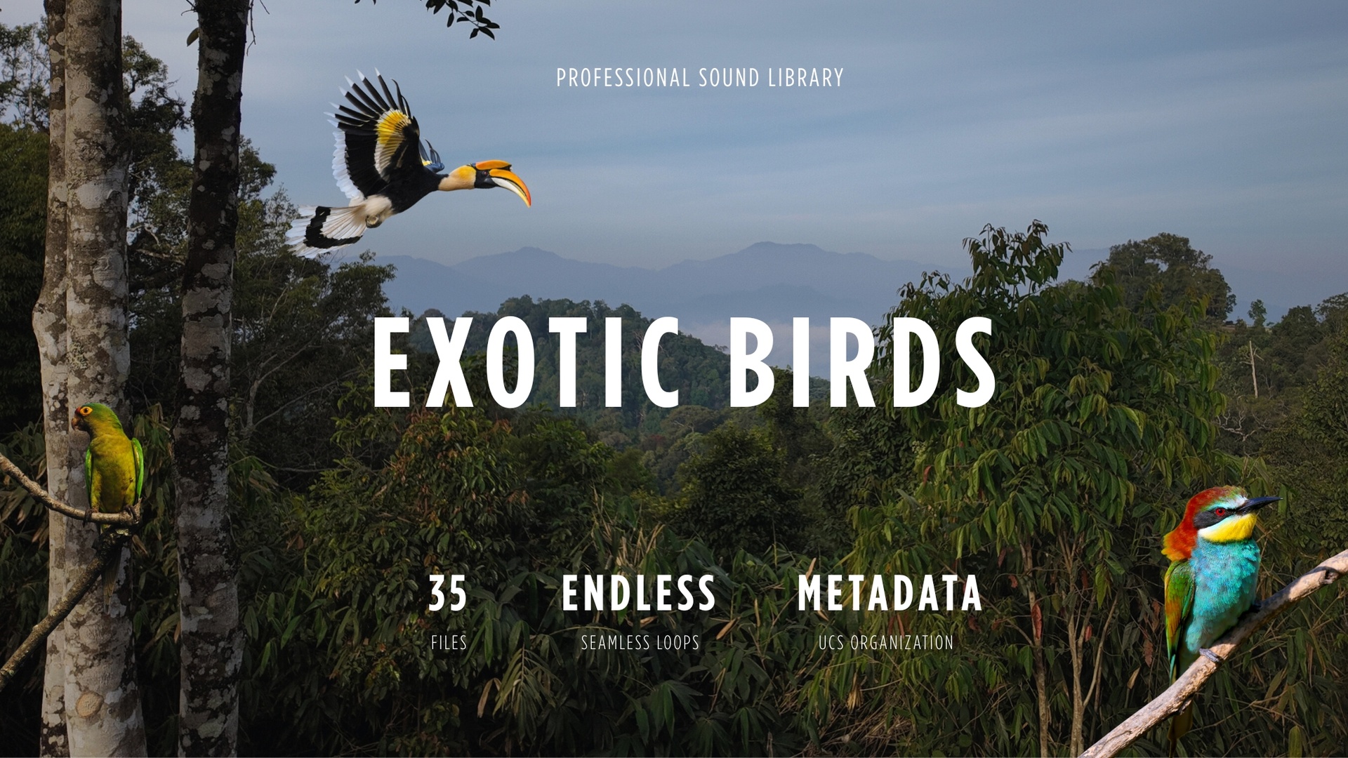 Media 1 for listing Exotic Bird Calls
