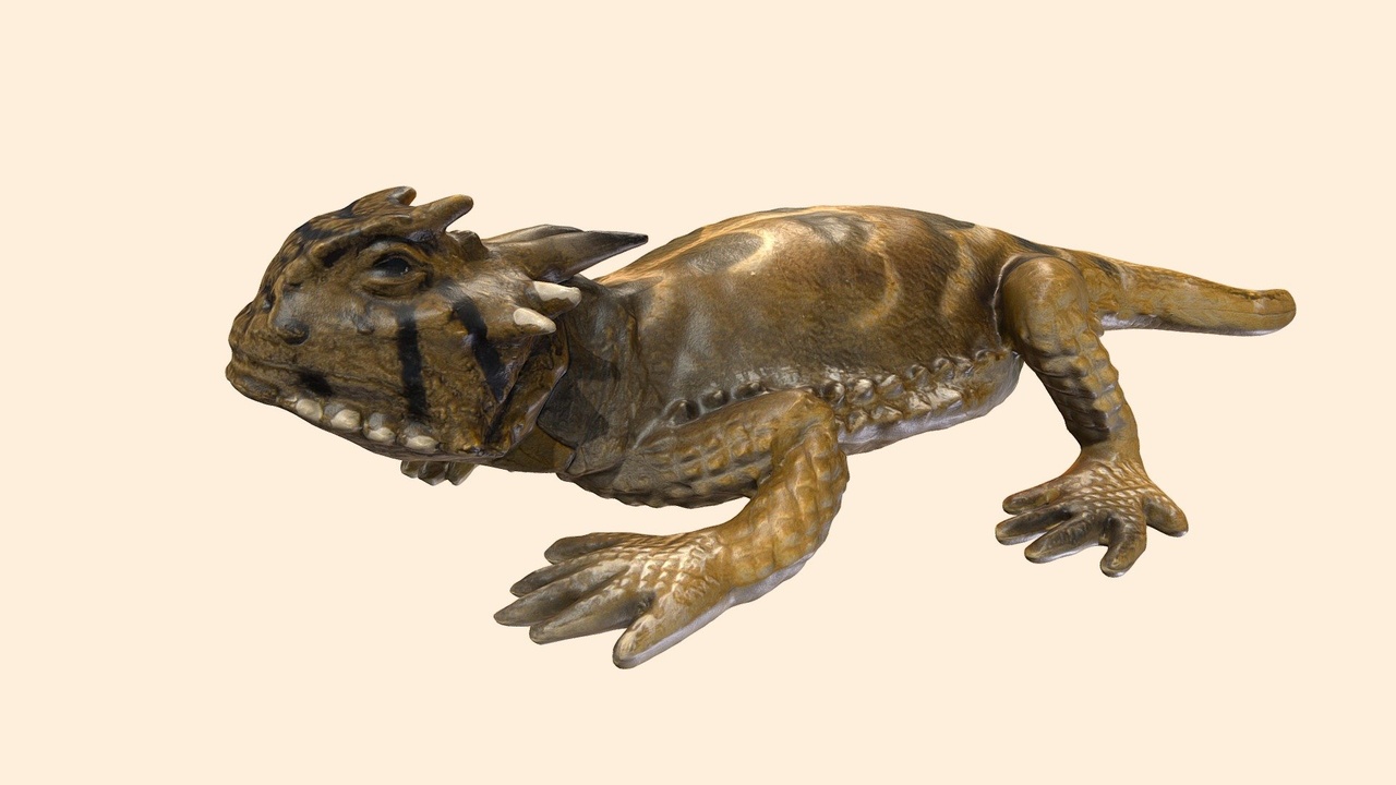 Media 1 for listing The Horned Lizard