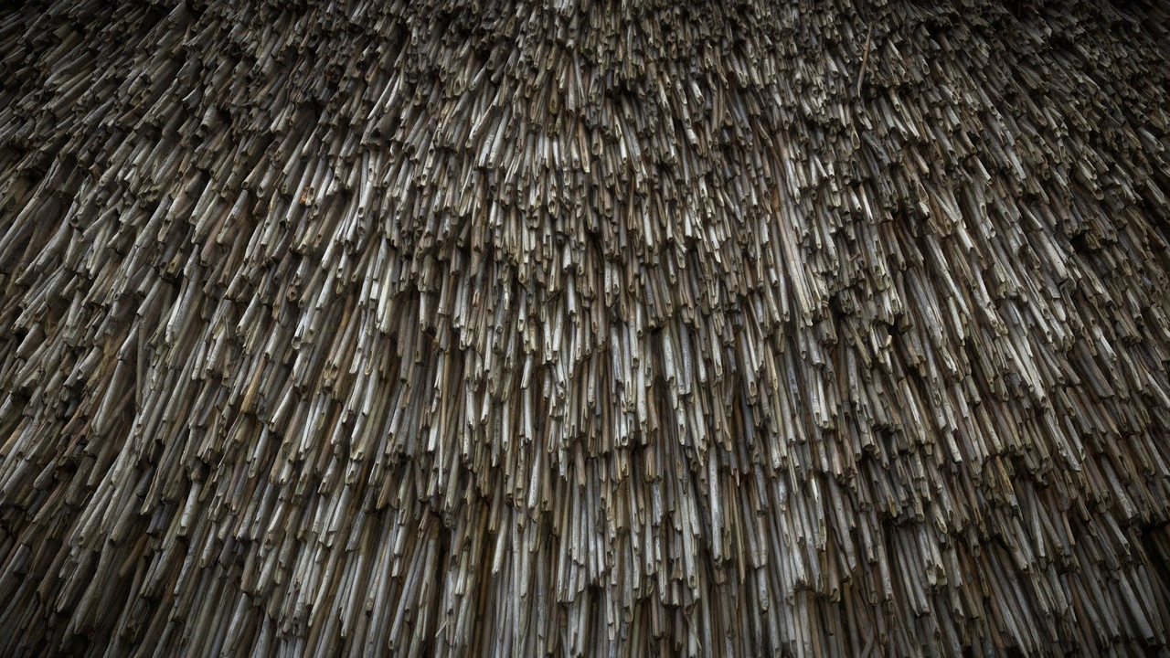 Média 1 pour l'article Thatch roof surface