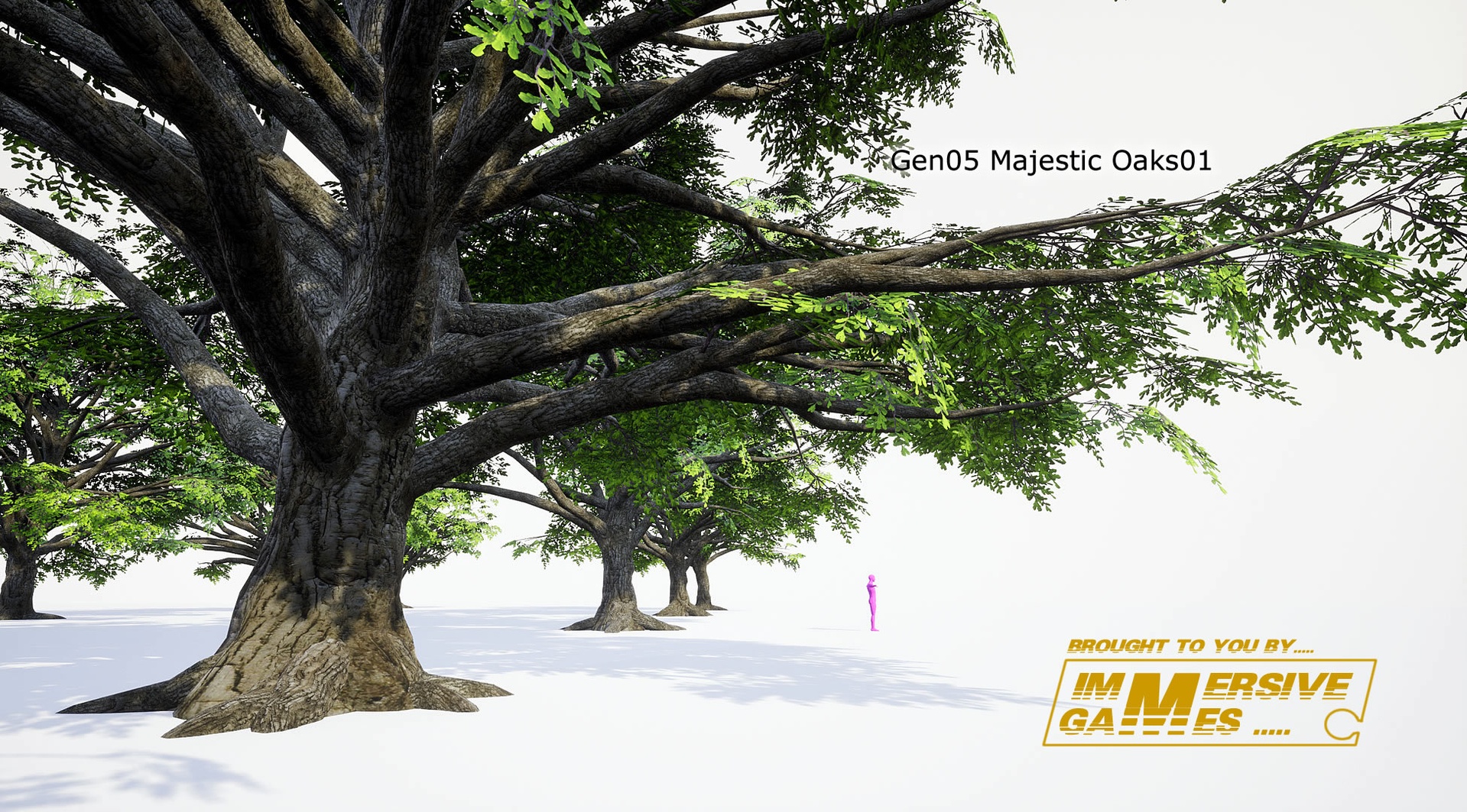 Media 1 for listing Gen05MajesticOak01