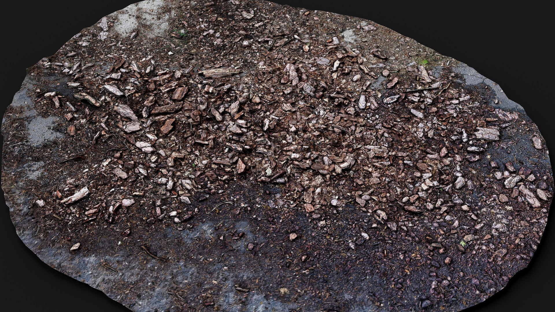forest ground tree bark wooden debris PBR photogrammetry | Fab