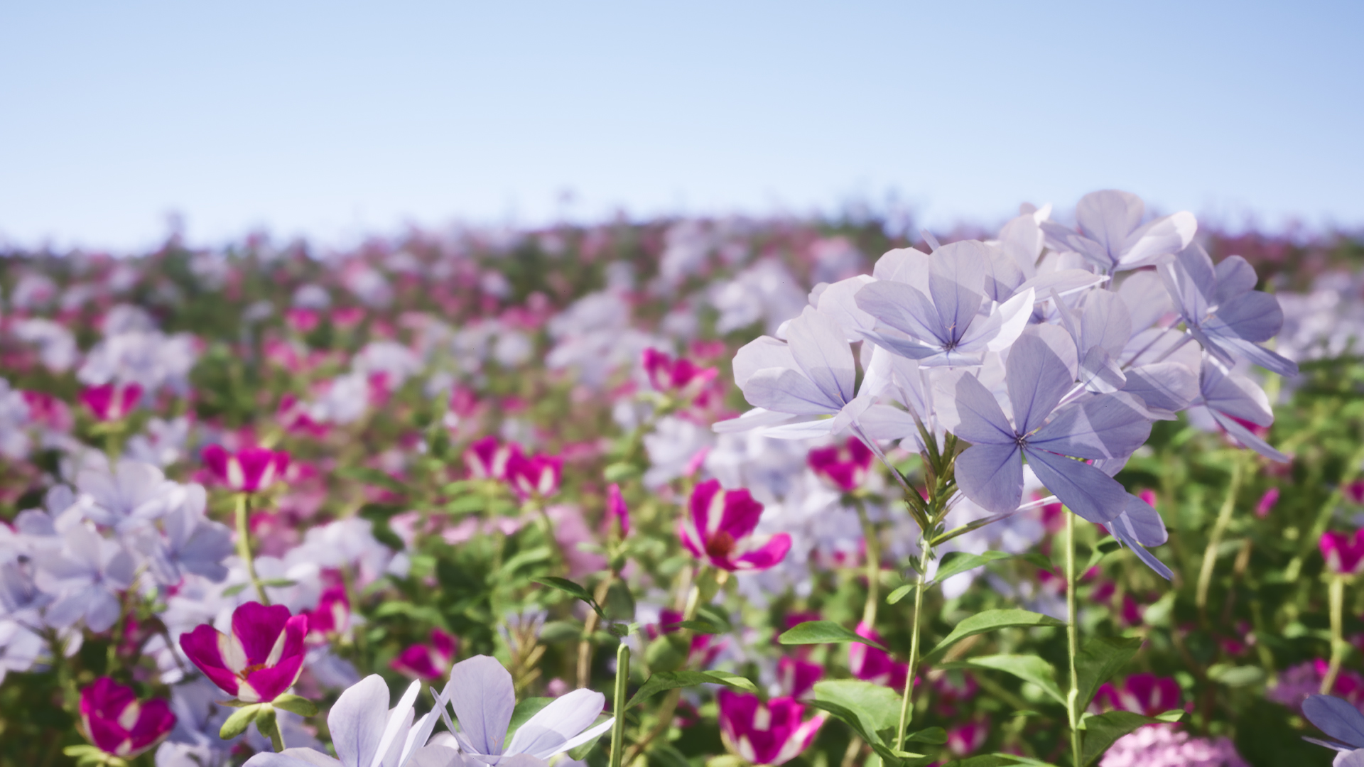 Nanite Flower Pack 3