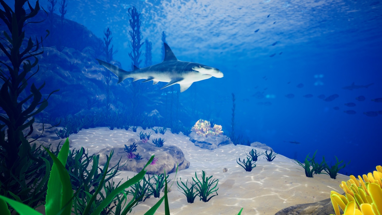 Media 1 for listing Ocean Environment Pack