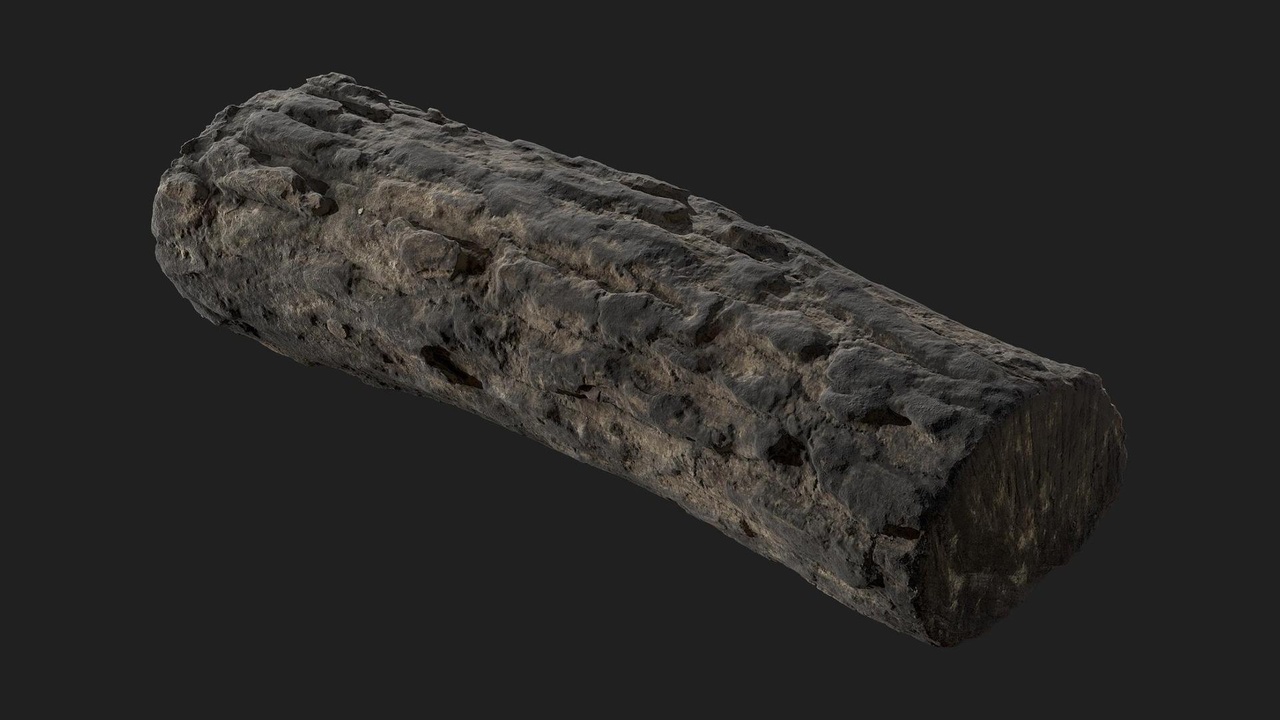 Media 1 for listing Burnt Firewood