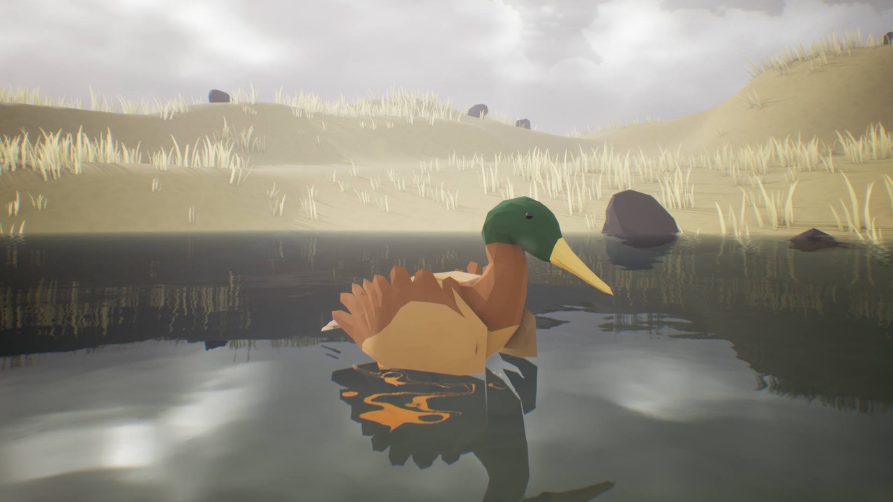 Media 1 for listing Low Poly Bird: Mallard Duck