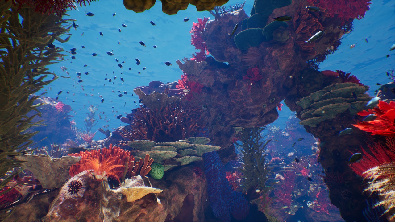 Média 1 pour l'article Marine Realm