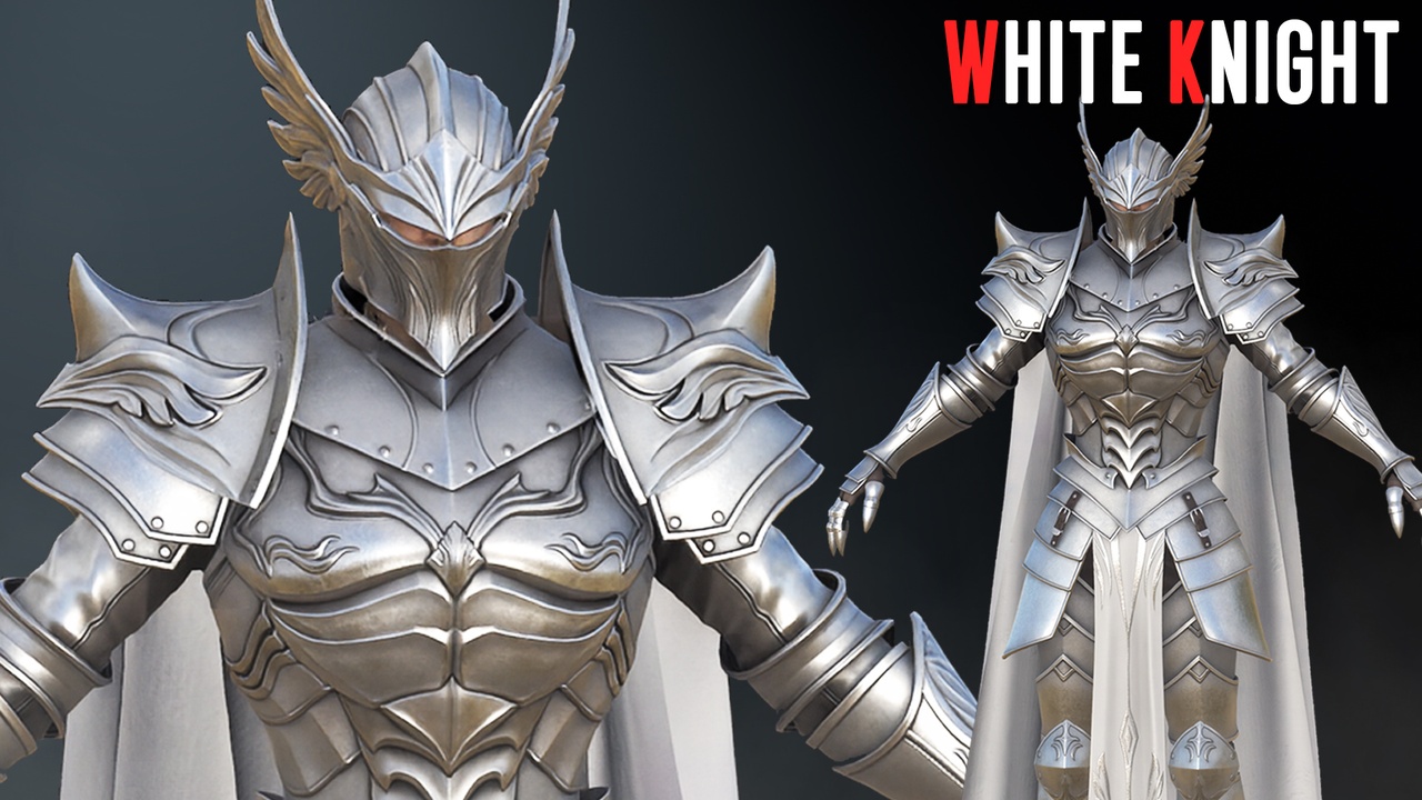 Media 1 for listing Triple A White Knight