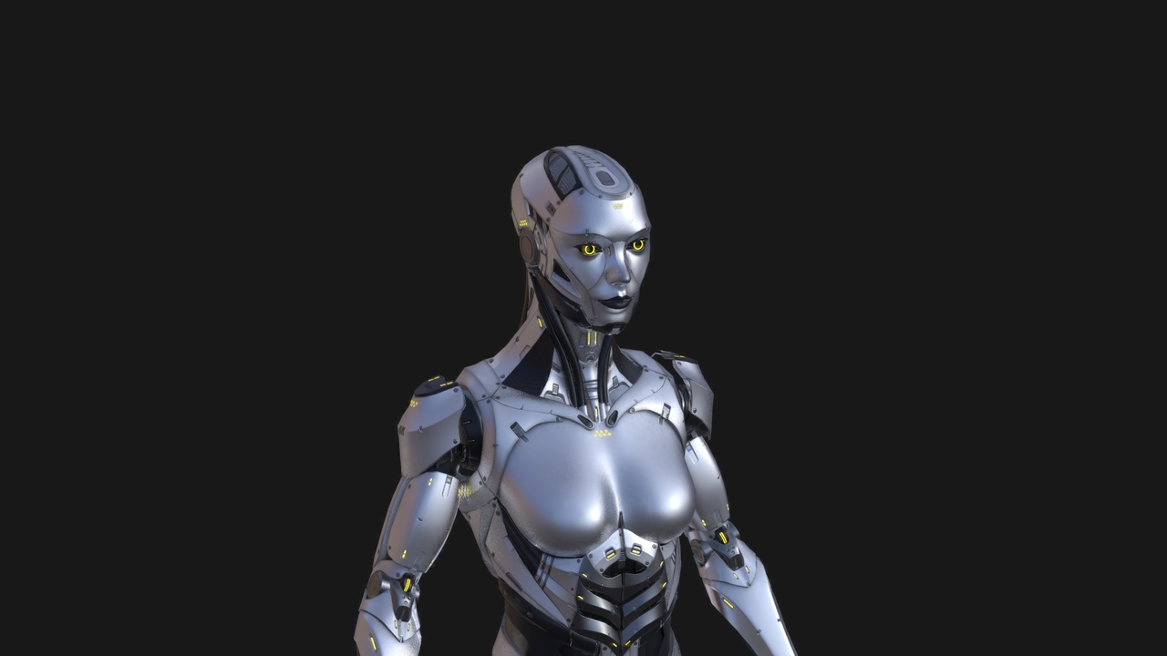 Media 1 for listing Robot Girl