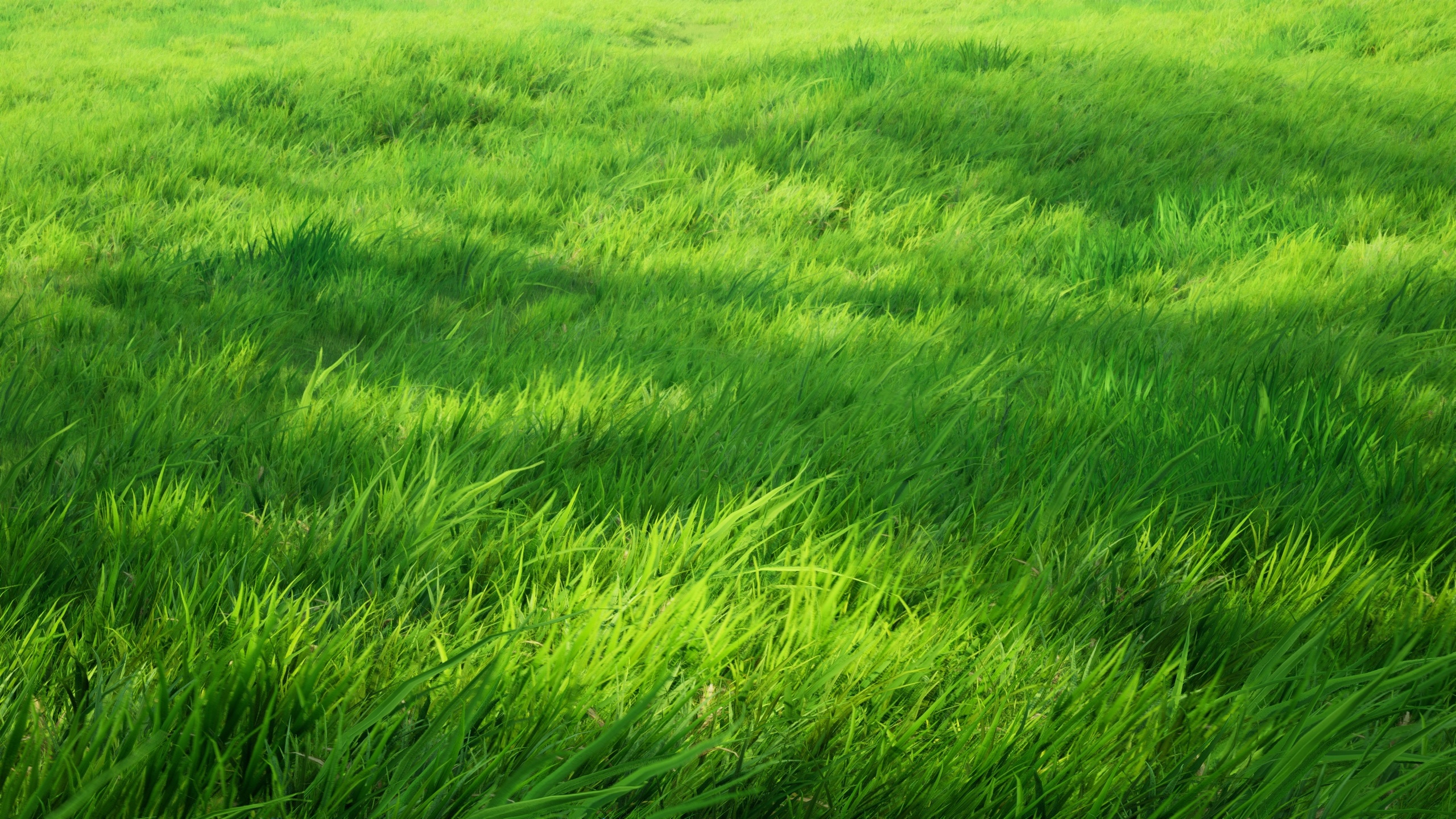 Media 1 for listing Realistic Grass and plant