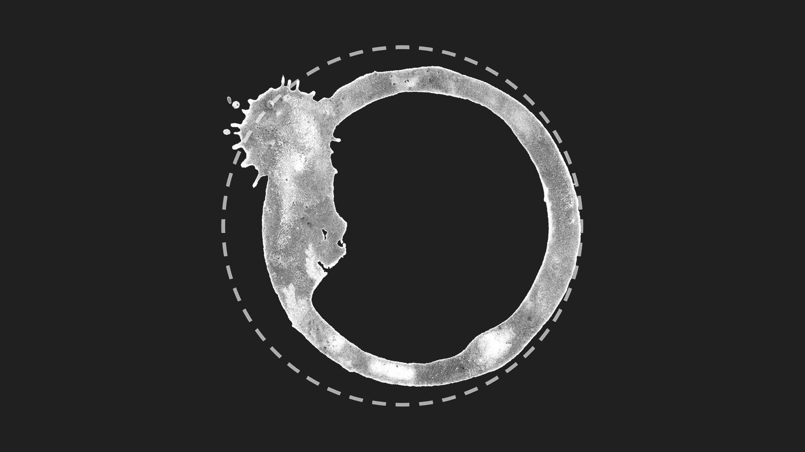 Media 1 for listing Coffee Stain