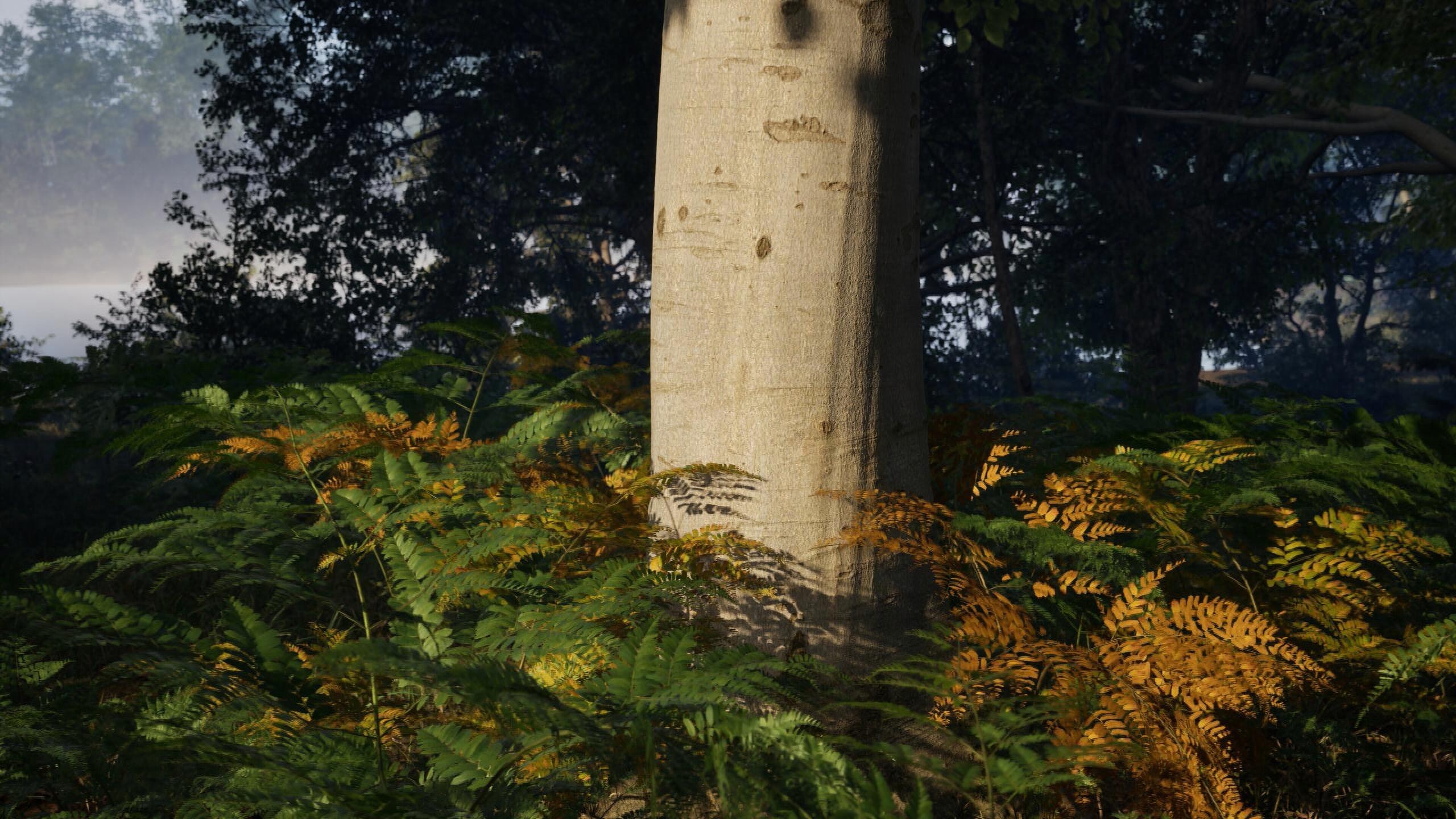 Media 1 for listing Bracken Fern v1.1 | Nanite Foliage