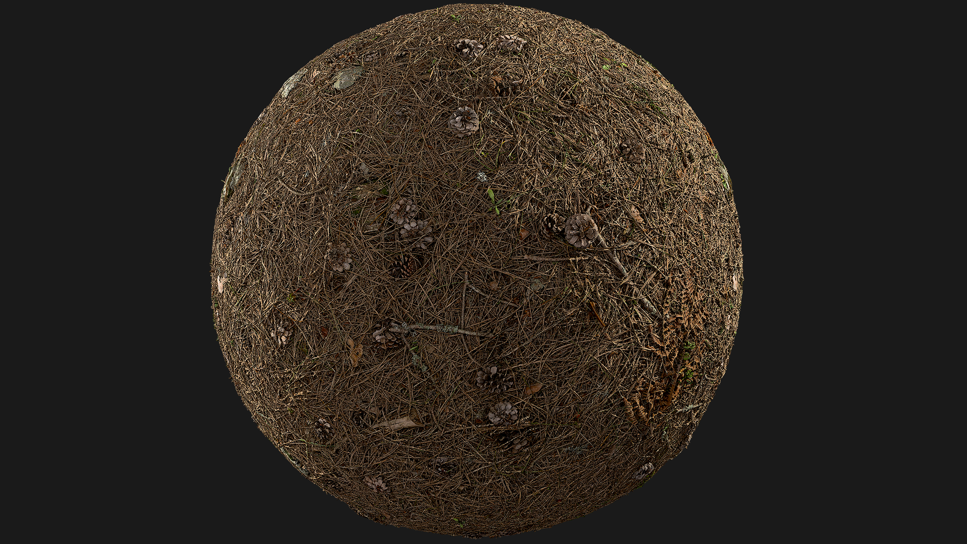 Forest Ground (6qv7nk) | Fab