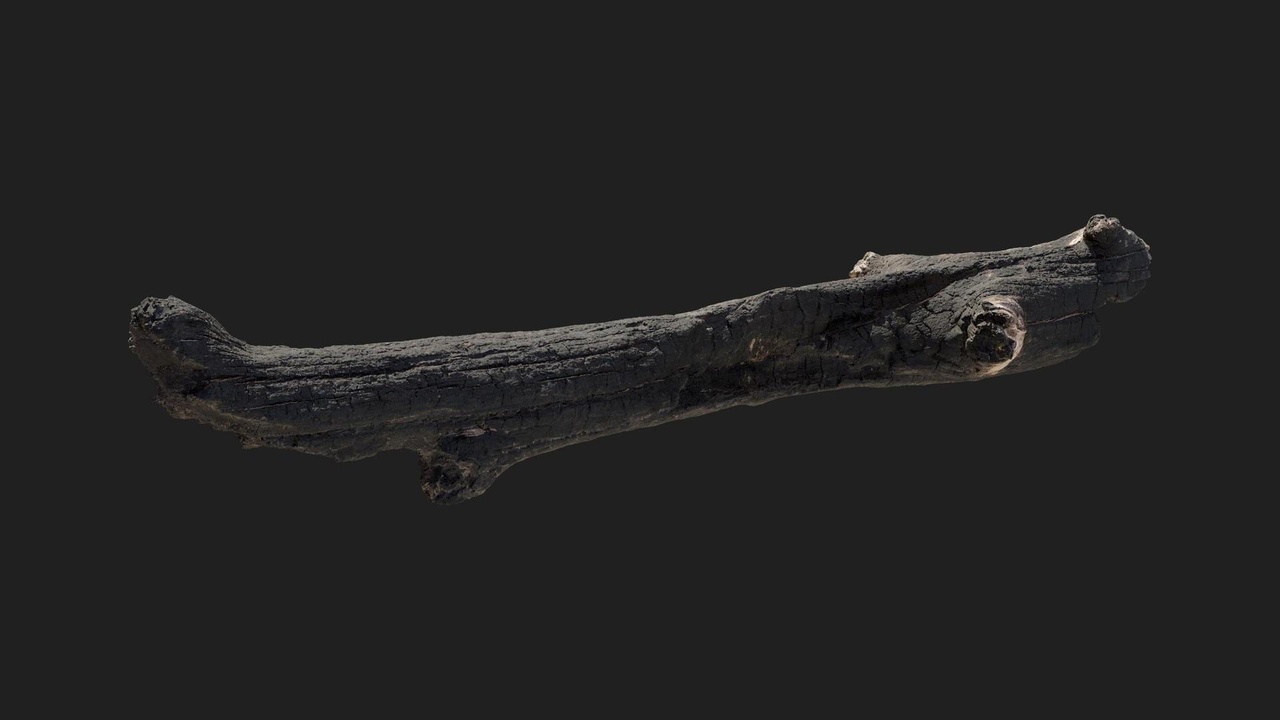 Media 1 for listing Burnt Log