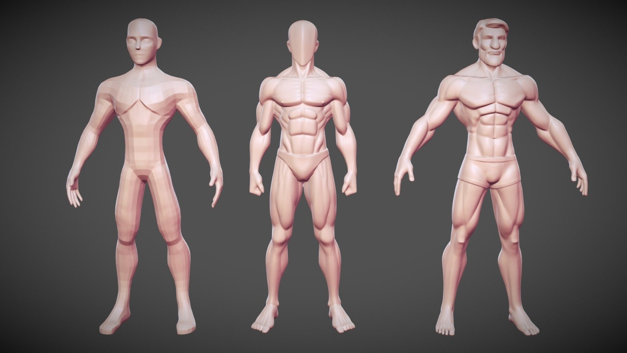 Media 1 for listing Male Anatomy Sculpt Pack