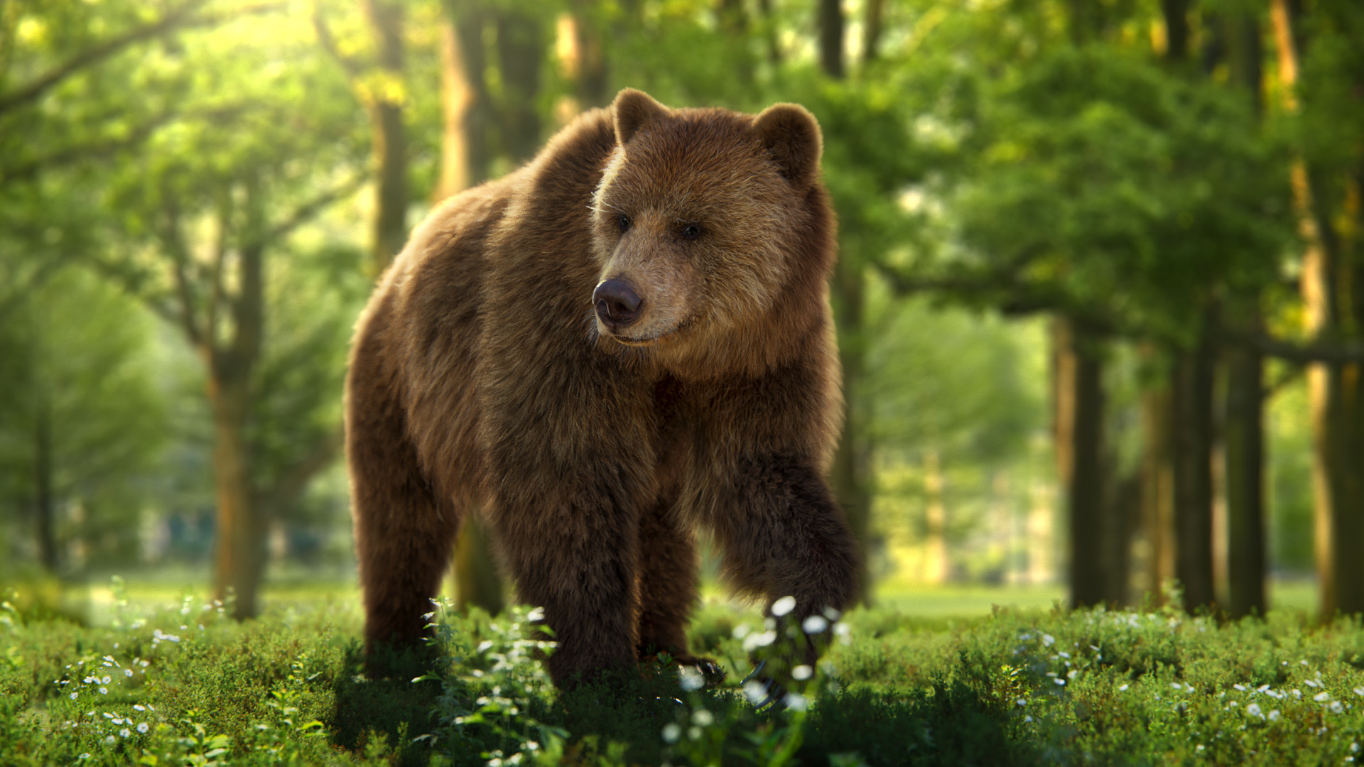 Realistic Female Brown Bear 3D Model for UE5 – Groomed Fur, Rigged & 2 Animation