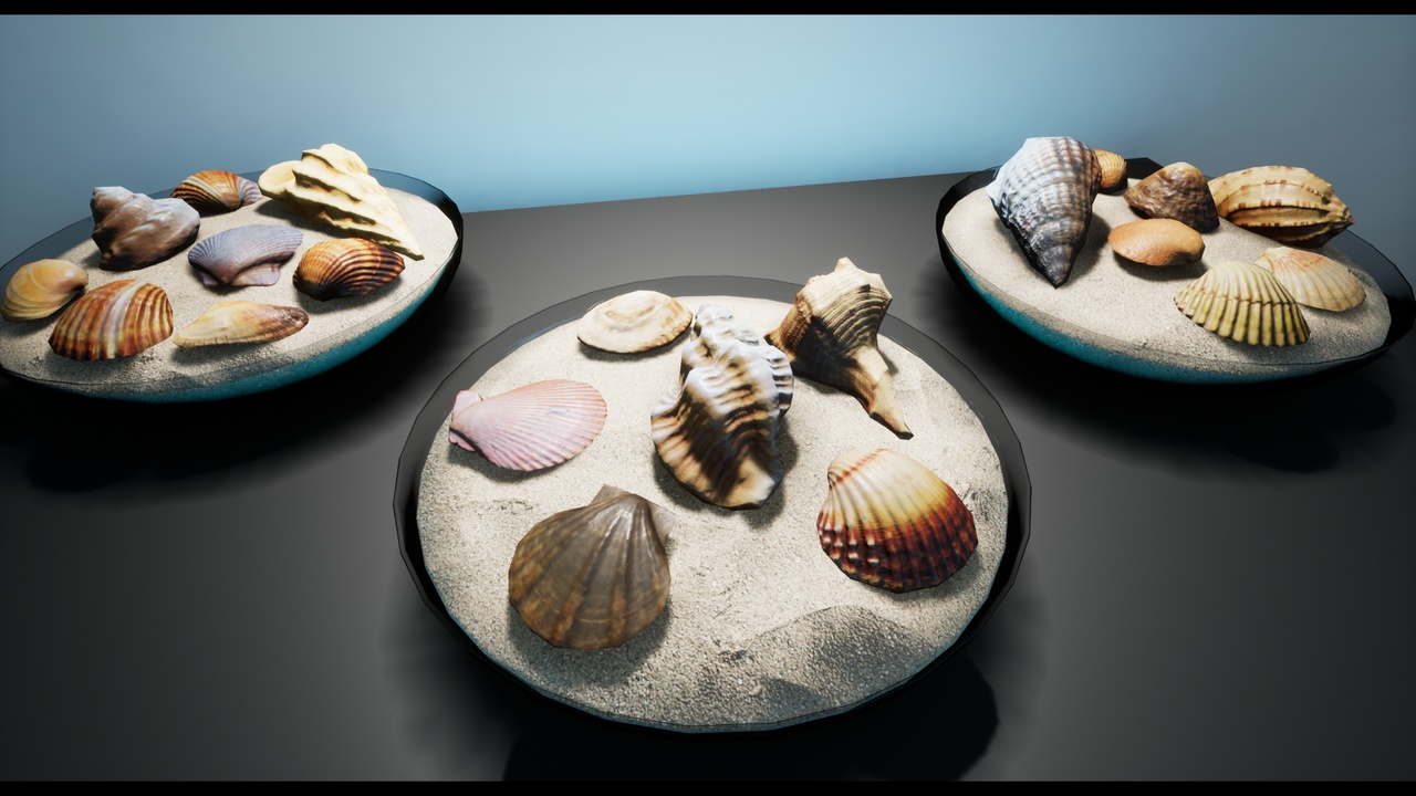 Media 1 for listing STF3d - Seashells, Clams and Abalons