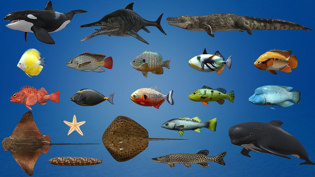 Media 1 for listing Fish Collection Animated - Game Ready Pack 3