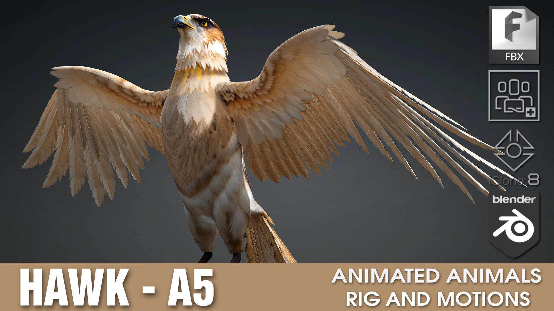 Hawk_A5 | Fab
