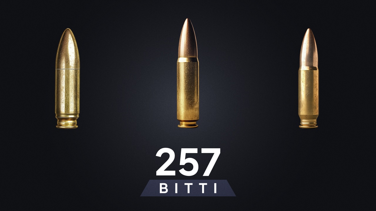 Media 1 for listing BITTI - Bullets257